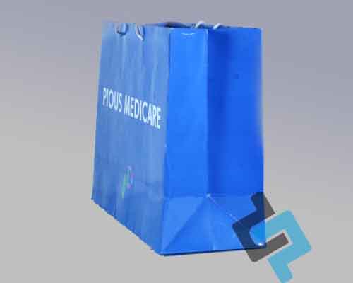 Pharma Carry Bags Printing in india