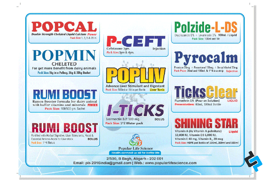 Pharma Stickers Printing Solan